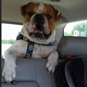 Meet your Posher, Cortney